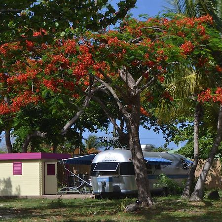 Airstream Paradise Bernard Екстериор снимка